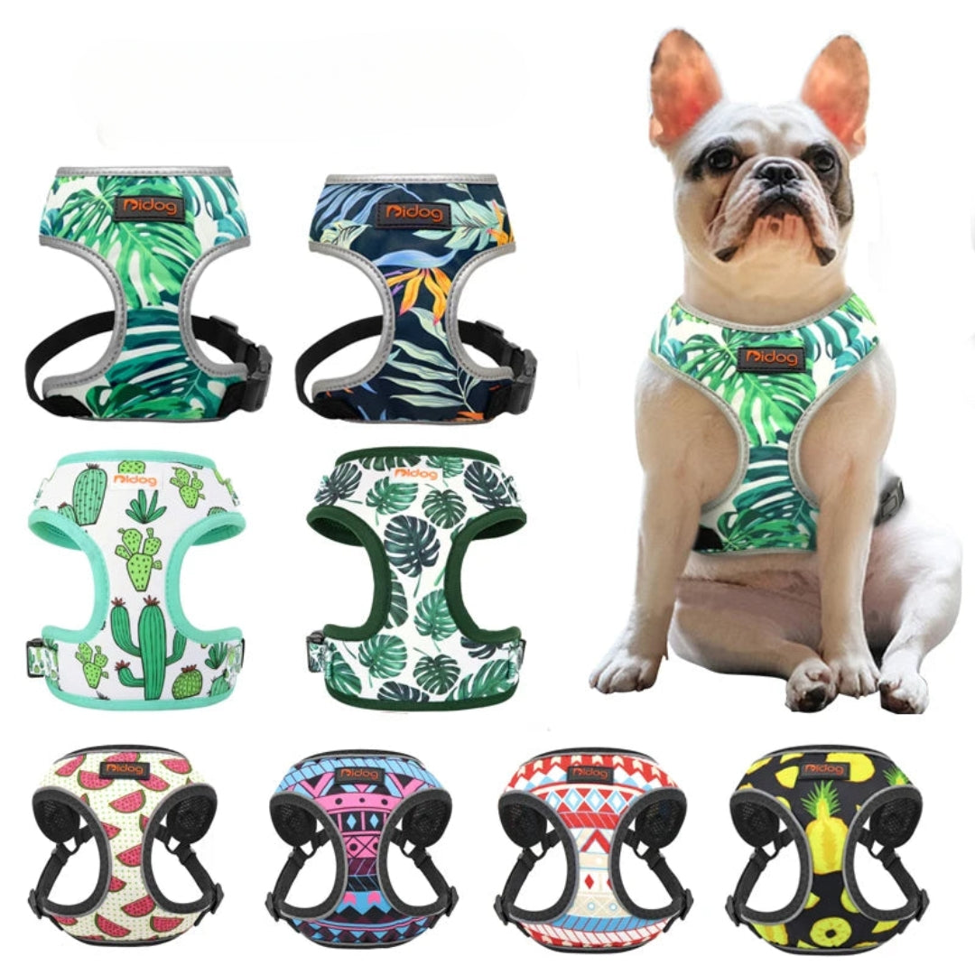 Chic Reflective Nylon Harness Fashion-Forward Prints for Stylish Walks