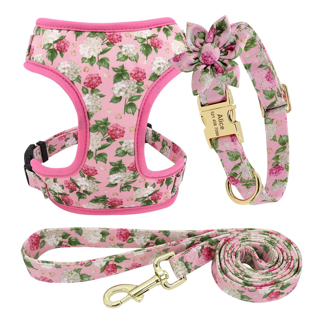 Adjustable Nylon Mesh Harness, Collar with Engraving & Leash Set for Small to Medium Pets