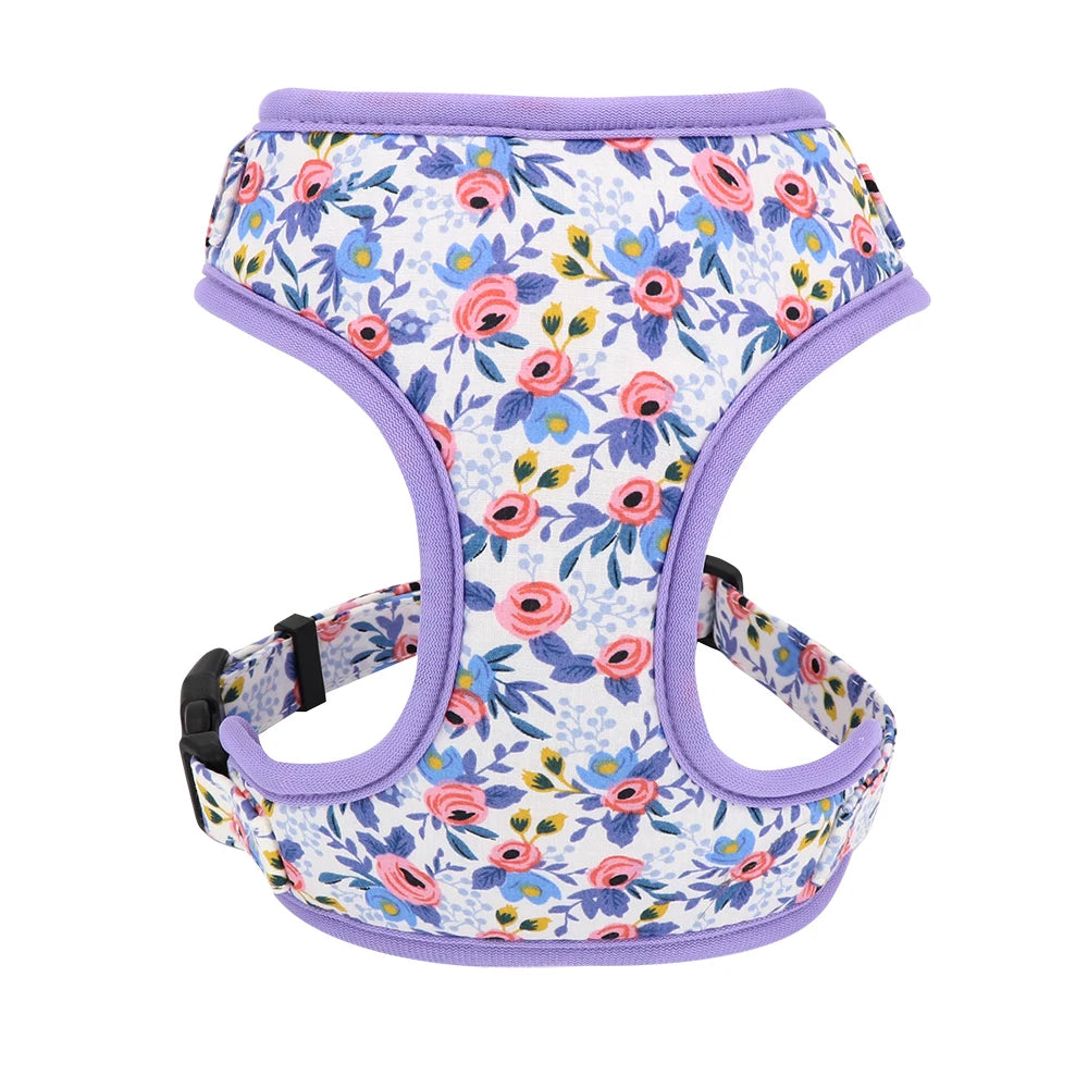 Adjustable Nylon Mesh Harness, Collar with Engraving & Leash Set for Small to Medium Pets