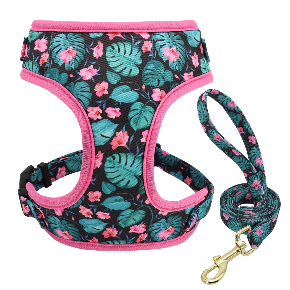 Adjustable Nylon Mesh Harness, Collar with Engraving & Leash Set for Small to Medium Pets