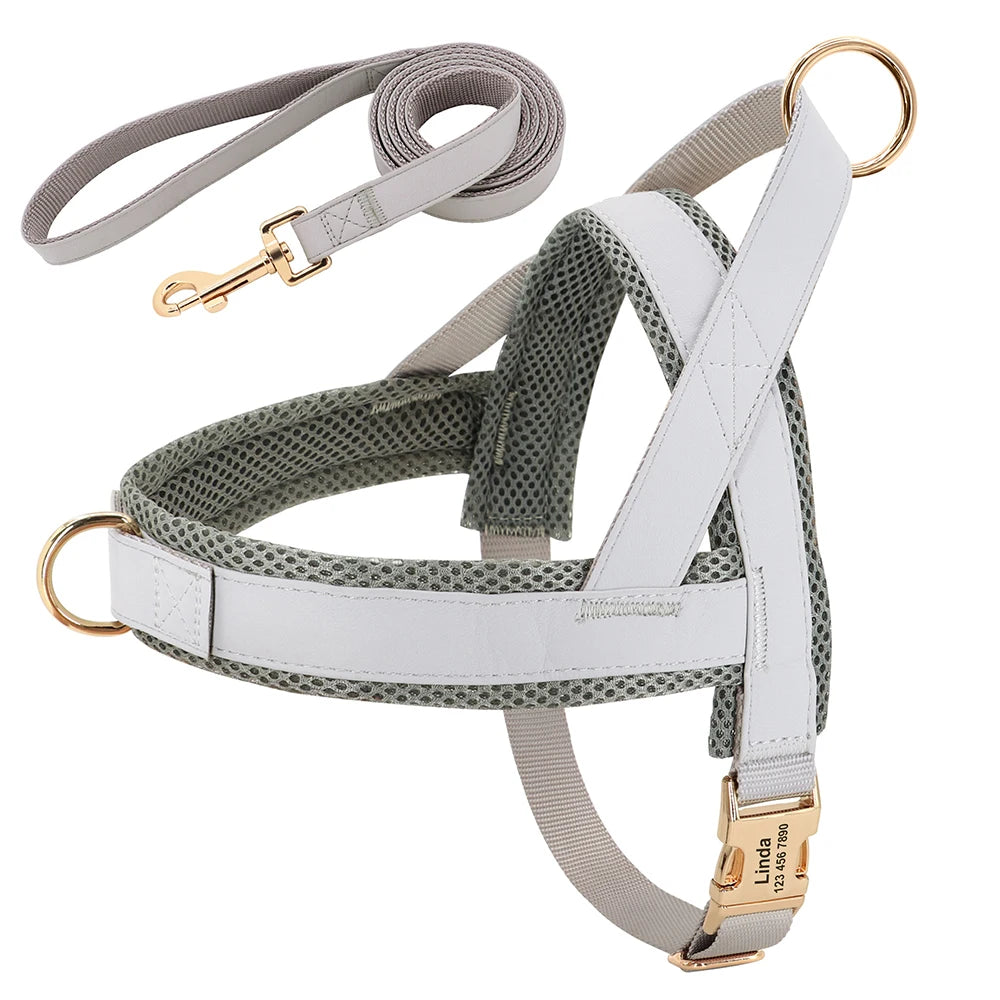 Personalized Leather Dog Collar & Harness Set with Custom ID – Perfect Fit for Every Dog
