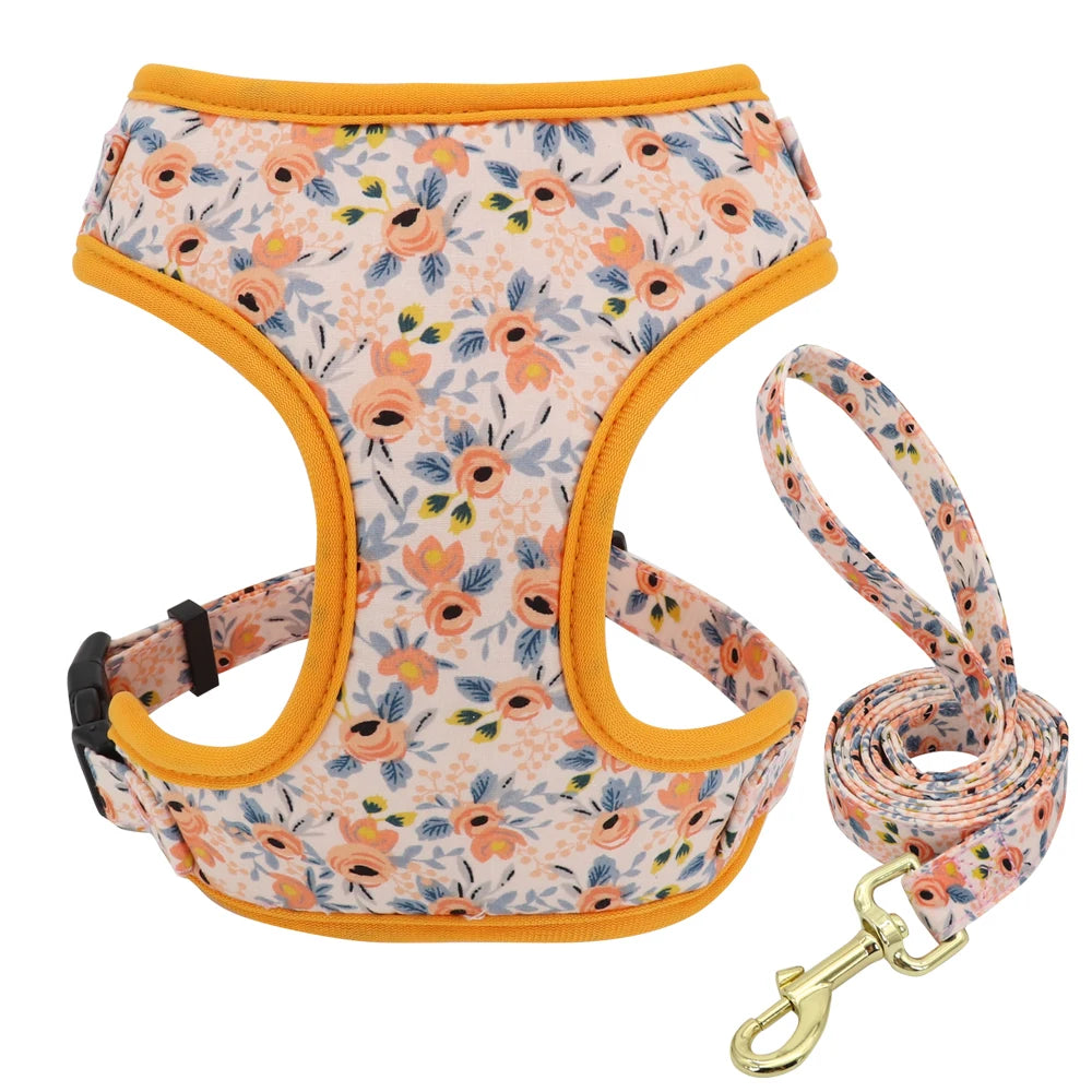 Adjustable Nylon Mesh Harness, Collar with Engraving & Leash Set for Small to Medium Pets