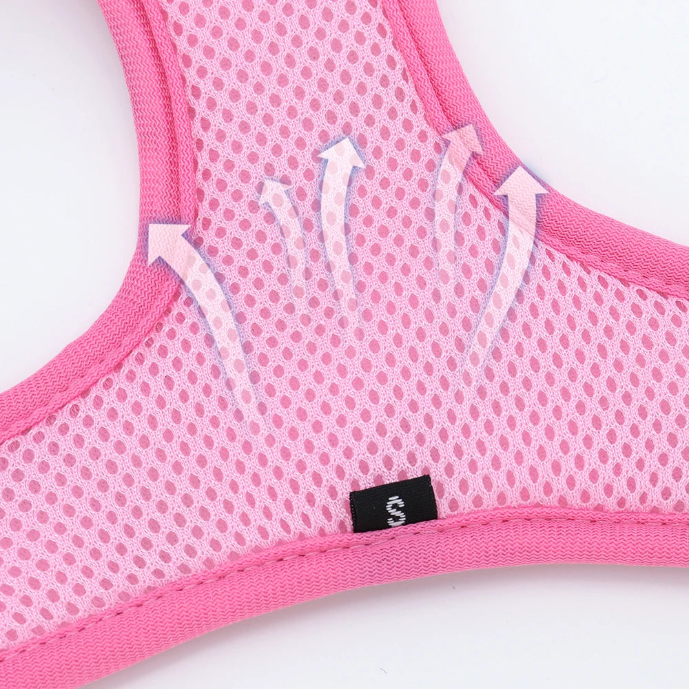 Adjustable Nylon Mesh Harness, Collar with Engraving & Leash Set for Small to Medium Pets