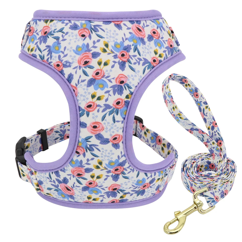 Adjustable Nylon Mesh Harness, Collar with Engraving & Leash Set for Small to Medium Pets