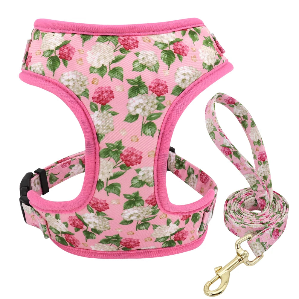 Adjustable Nylon Mesh Harness, Collar with Engraving & Leash Set for Small to Medium Pets