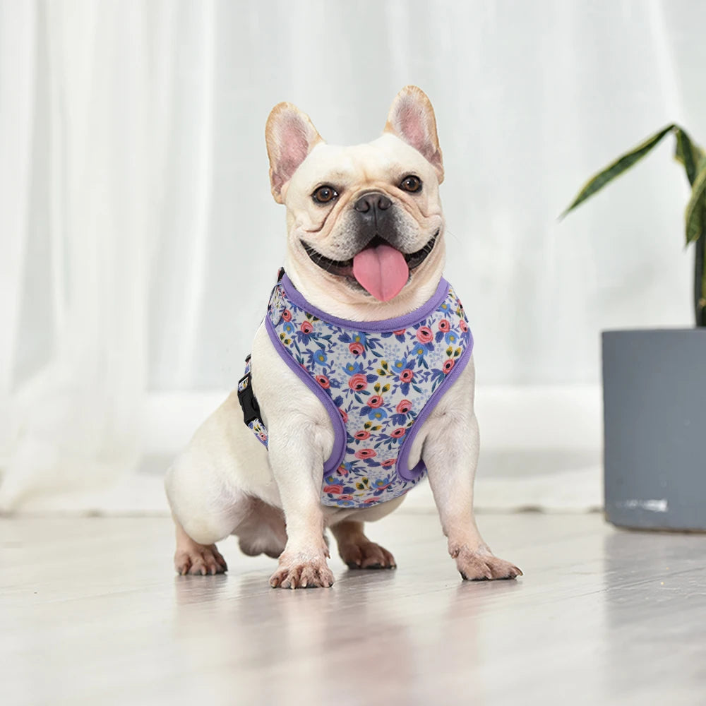 Adjustable Nylon Mesh Harness, Collar with Engraving & Leash Set for Small to Medium Pets