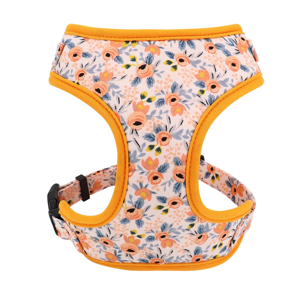 Adjustable Nylon Mesh Harness, Collar with Engraving & Leash Set for Small to Medium Pets