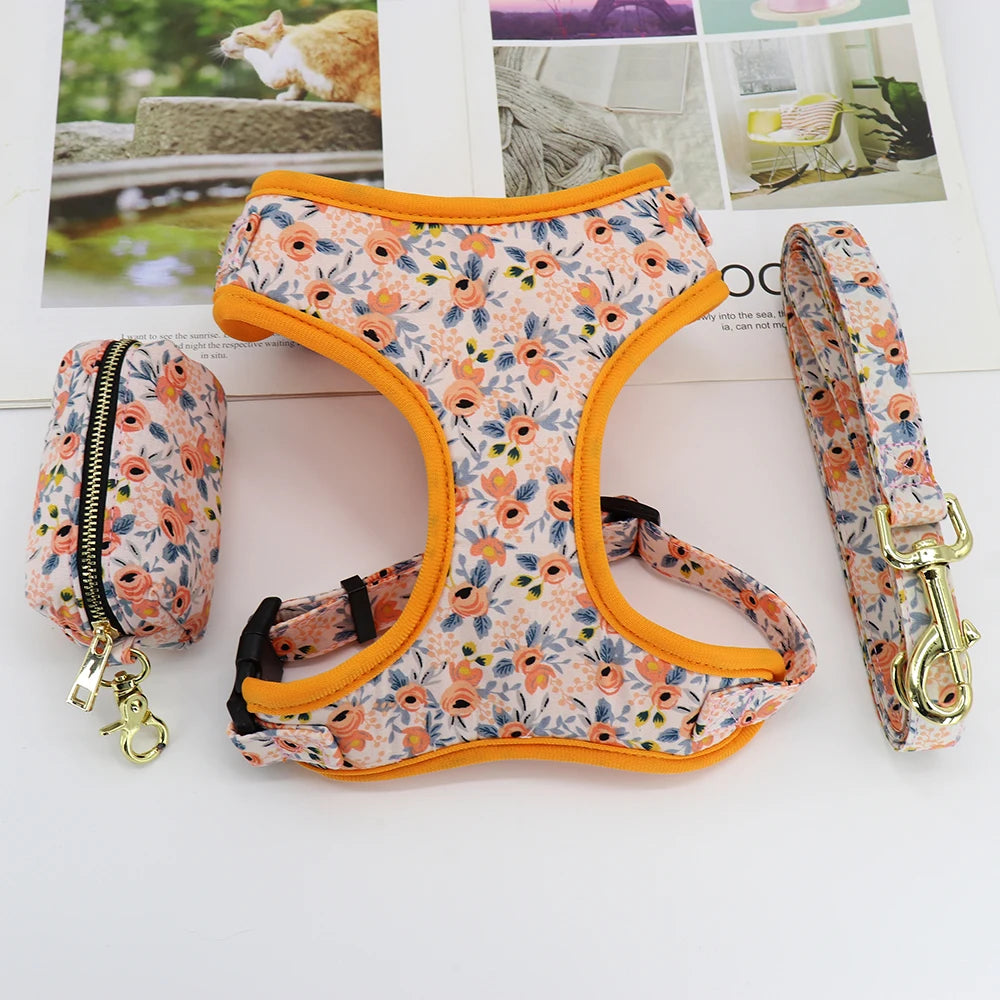 Adjustable Nylon Mesh Harness, Collar with Engraving & Leash Set for Small to Medium Pets