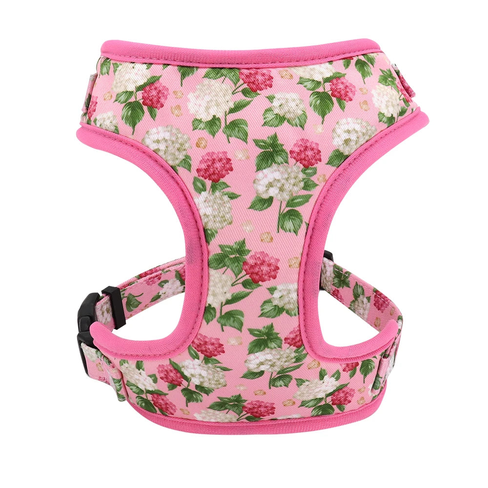 Adjustable Nylon Mesh Harness, Collar with Engraving & Leash Set for Small to Medium Pets