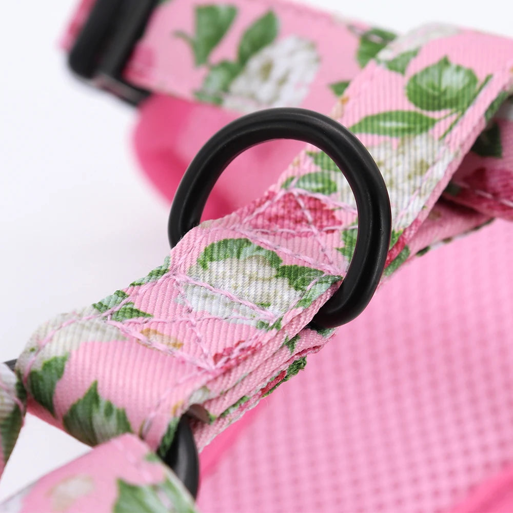 Adjustable Nylon Mesh Harness, Collar with Engraving & Leash Set for Small to Medium Pets