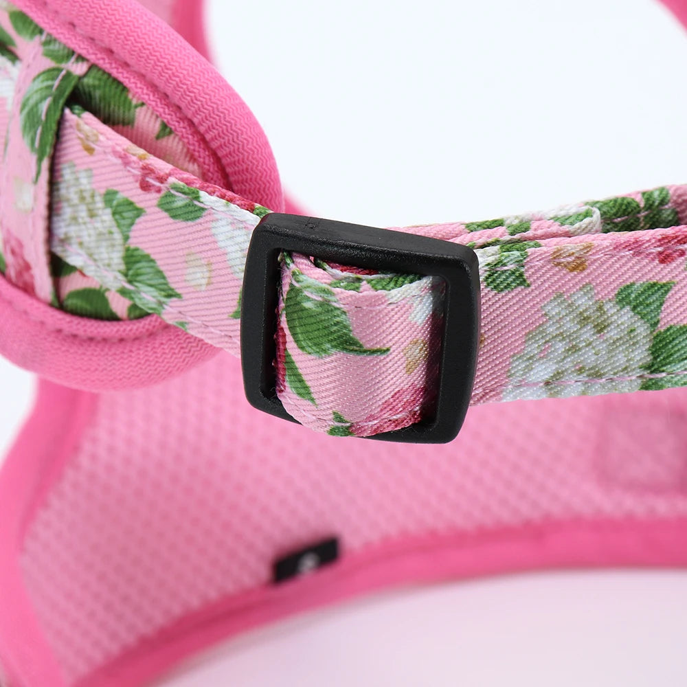 Adjustable Nylon Mesh Harness, Collar with Engraving & Leash Set for Small to Medium Pets