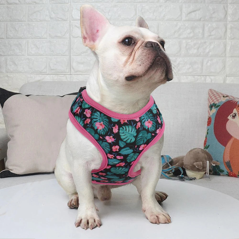 Adjustable Nylon Mesh Harness, Collar with Engraving & Leash Set for Small to Medium Pets