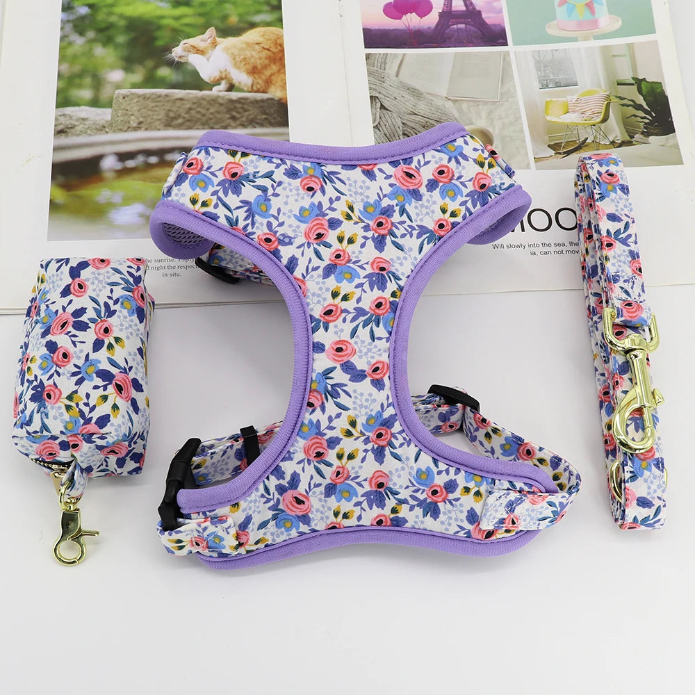 Adjustable Nylon Mesh Harness, Collar with Engraving & Leash Set for Small to Medium Pets