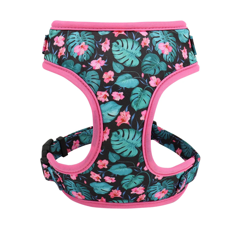 Adjustable Nylon Mesh Harness, Collar with Engraving & Leash Set for Small to Medium Pets