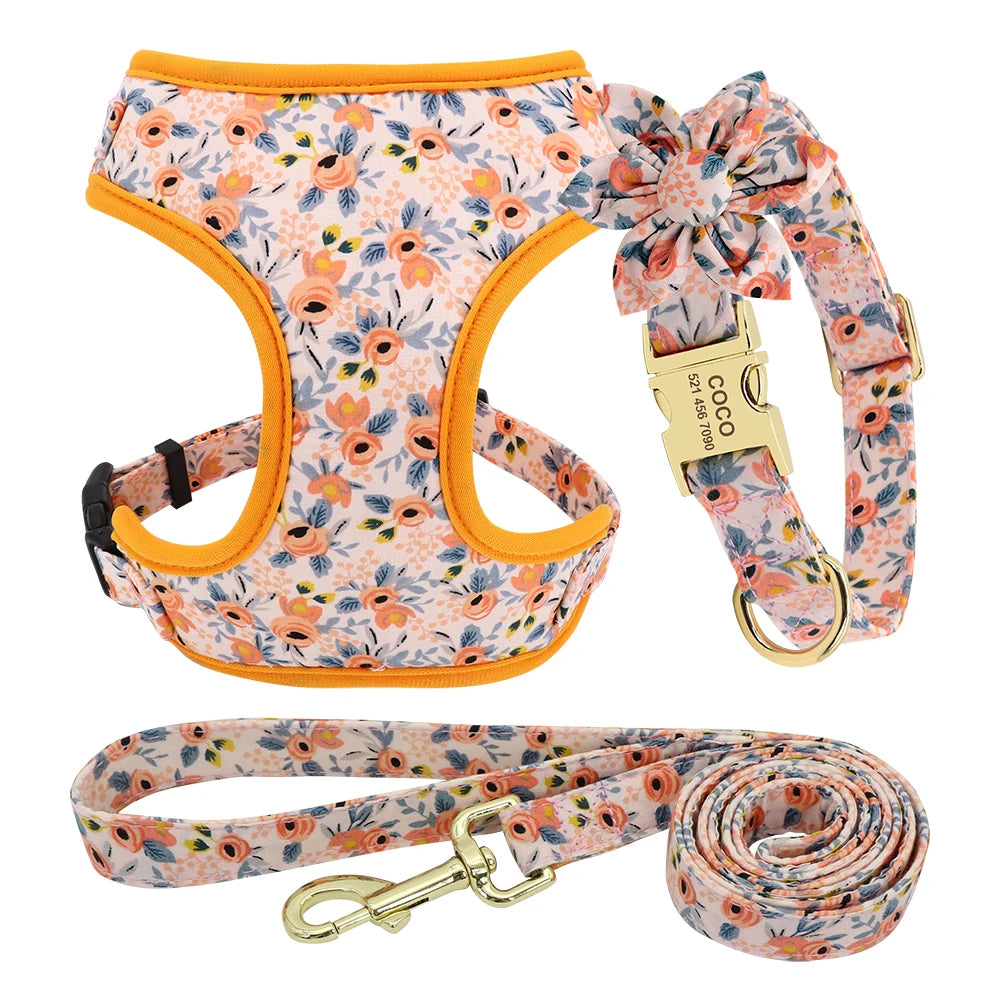 Adjustable Nylon Mesh Harness, Collar with Engraving & Leash Set for Small to Medium Pets