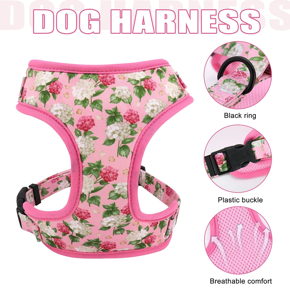 Adjustable Nylon Mesh Harness, Collar with Engraving & Leash Set for Small to Medium Pets