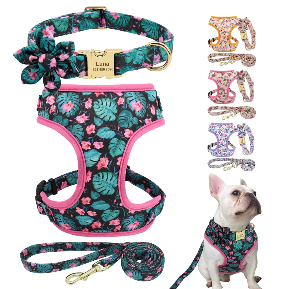Adjustable Nylon Mesh Harness, Collar with Engraving & Leash Set for Small to Medium Pets