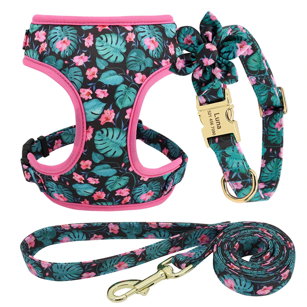 Adjustable Nylon Mesh Harness, Collar with Engraving & Leash Set for Small to Medium Pets