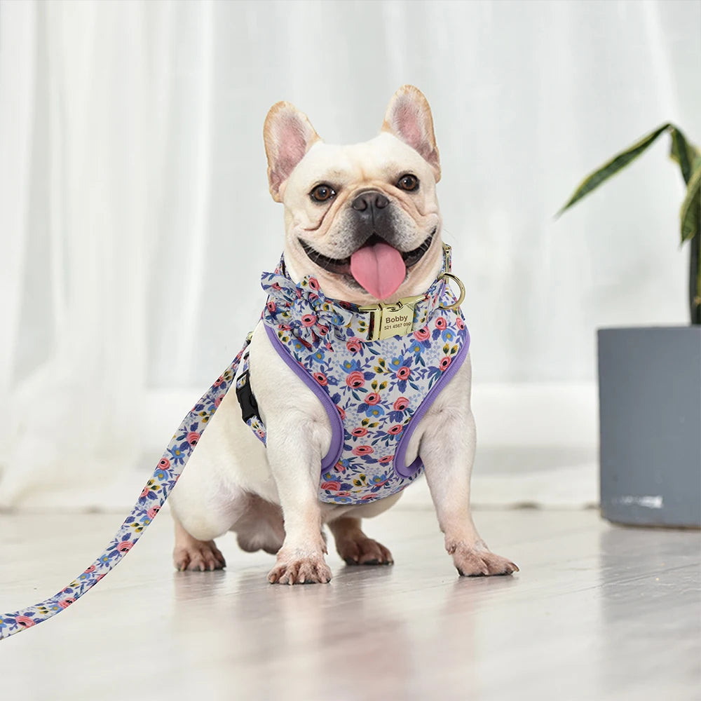 Adjustable Nylon Mesh Harness, Collar with Engraving & Leash Set for Small to Medium Pets