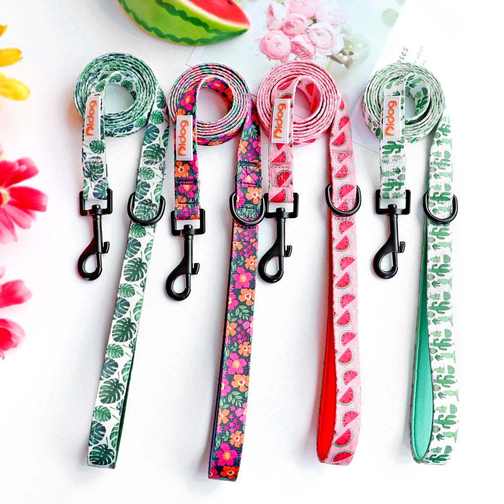 Vibrant Adventure Set Mesh Nylon Collar, Harness & Leash with Handy Waste Bag Holder