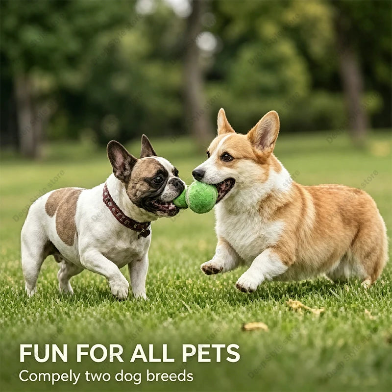 ToughBounce Heavy-Duty Tennis Ball Toys – Durable Rubber Chewing & Teething Balls (4-Pack)