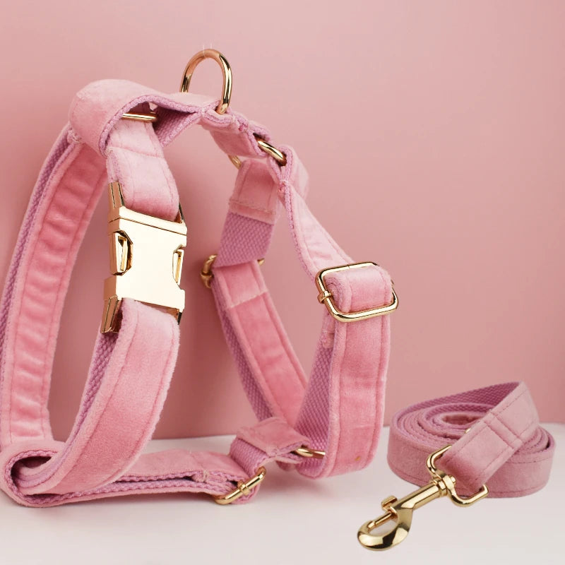 Gorgeous Unbreakable Dog Harness & Leash Set with Engraving