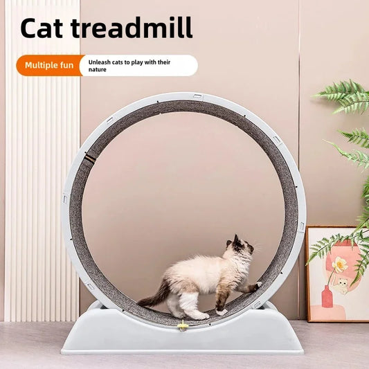 Purrfect Fitness: Easy-to-Assemble Cat Treadmill for Home Parkour