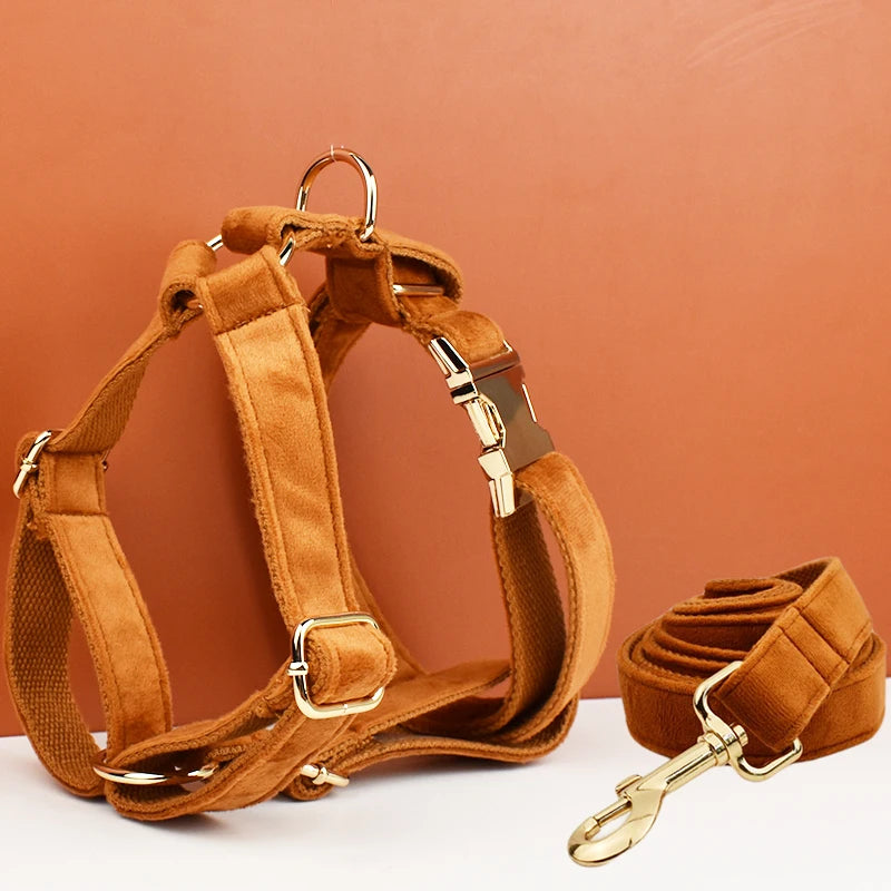 Gorgeous Unbreakable Dog Harness & Leash Set with Engraving