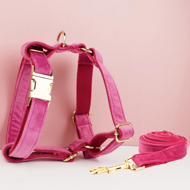 Gorgeous Unbreakable Dog Harness & Leash Set with Engraving