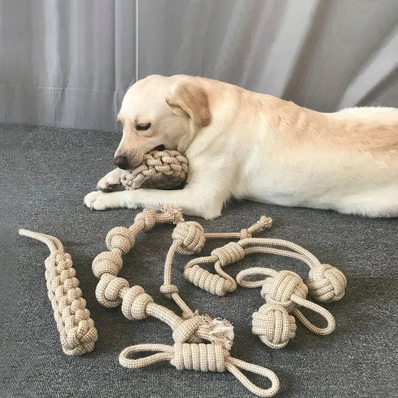 Interactive Knot Toy for Cats & Dogs – Durable Chew Toy for Healthy Teeth