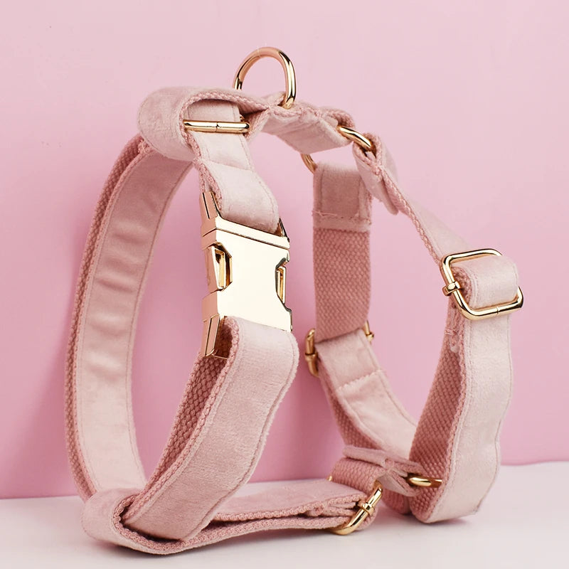 Gorgeous Unbreakable Dog Harness & Leash Set with Engraving