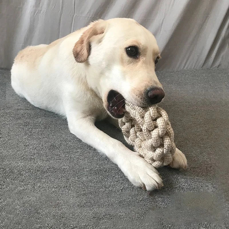 Interactive Knot Toy for Cats & Dogs – Durable Chew Toy for Healthy Teeth