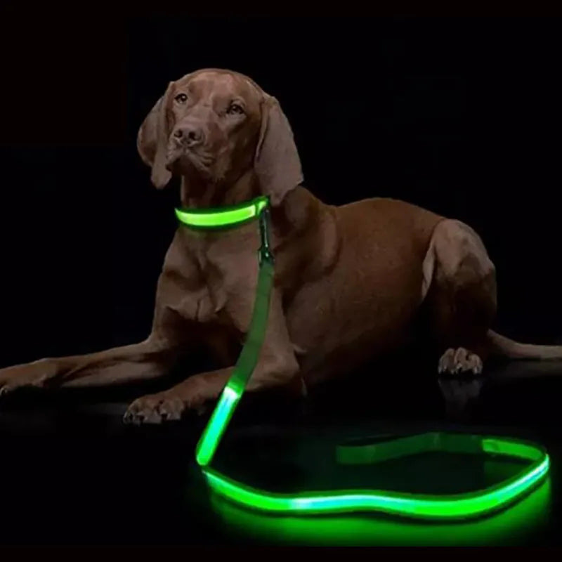 LED Glowing Dog Leash
