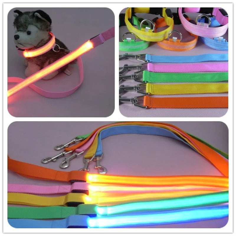 LED Glowing Dog Leash