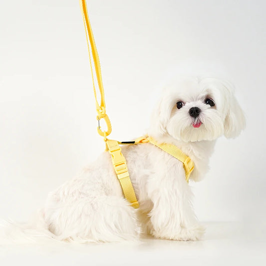 Macaron Color Dog Harness & Leash Set – Reflective Style for Puppies & Cats