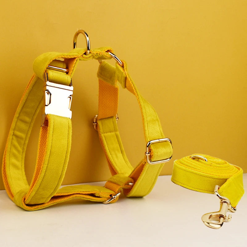 Gorgeous Unbreakable Dog Harness & Leash Set with Engraving