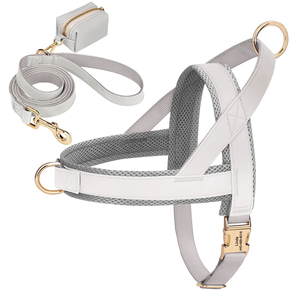 Personalized Leather Harness & Leash Set with Bag - Comfort & Style for Every Adventure