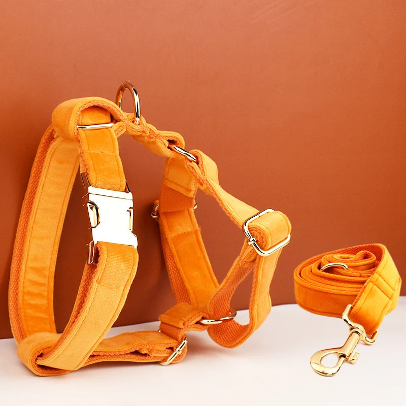 Gorgeous Unbreakable Dog Harness & Leash Set with Engraving
