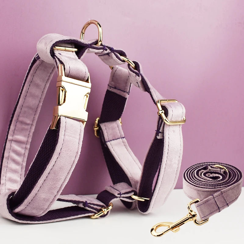 Gorgeous Unbreakable Dog Harness & Leash Set with Engraving