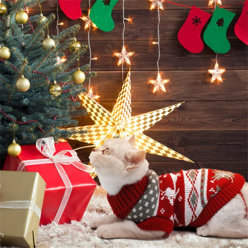 Cute Cat Sweater Costume Winter