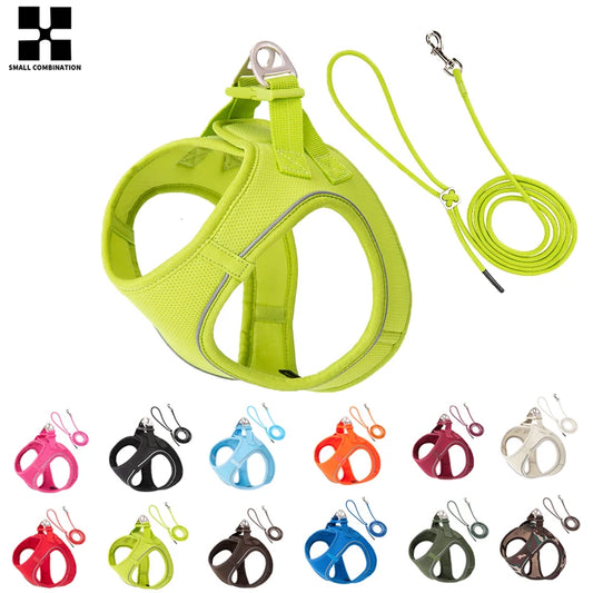 Reflective Comfort Harness & Leash Set for Small to Medium Dogs