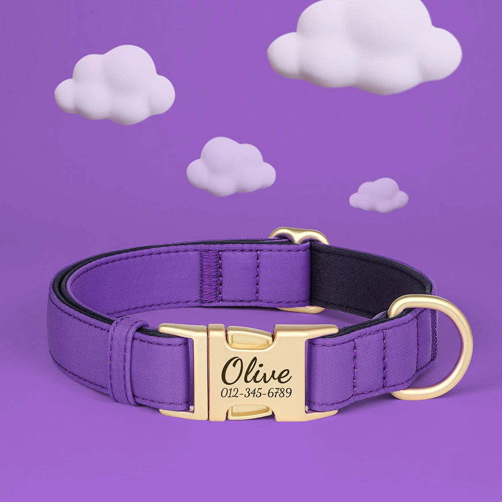PawSecure Custom Engraved Nylon Dog Collar – Anti-Lost Waterproof Protection for All Breeds