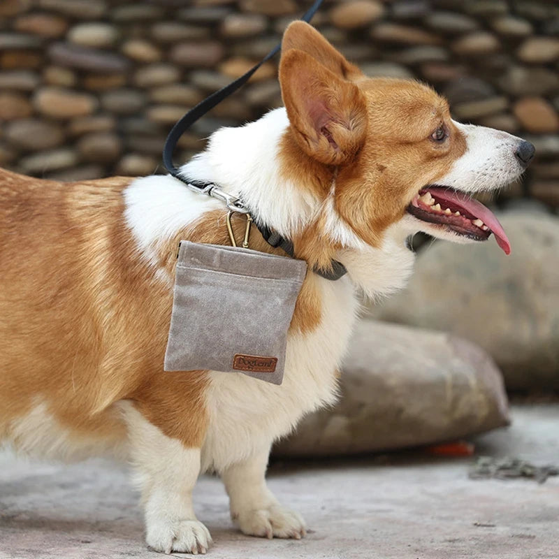 Durable Dog Treat Pouch – Perfect for Training and Travel