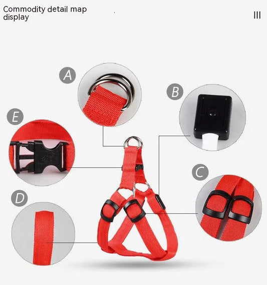 LumiPaws LED Safety Harness – Adjustable No-Pull Night-Glow Vest