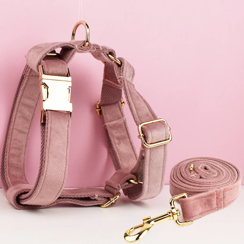Gorgeous Unbreakable Dog Harness & Leash Set with Engraving
