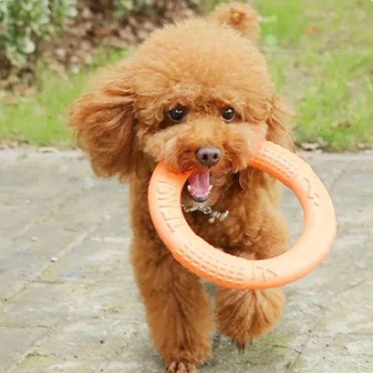 Durable EVA Flying Disc & Training Ring for Dogs