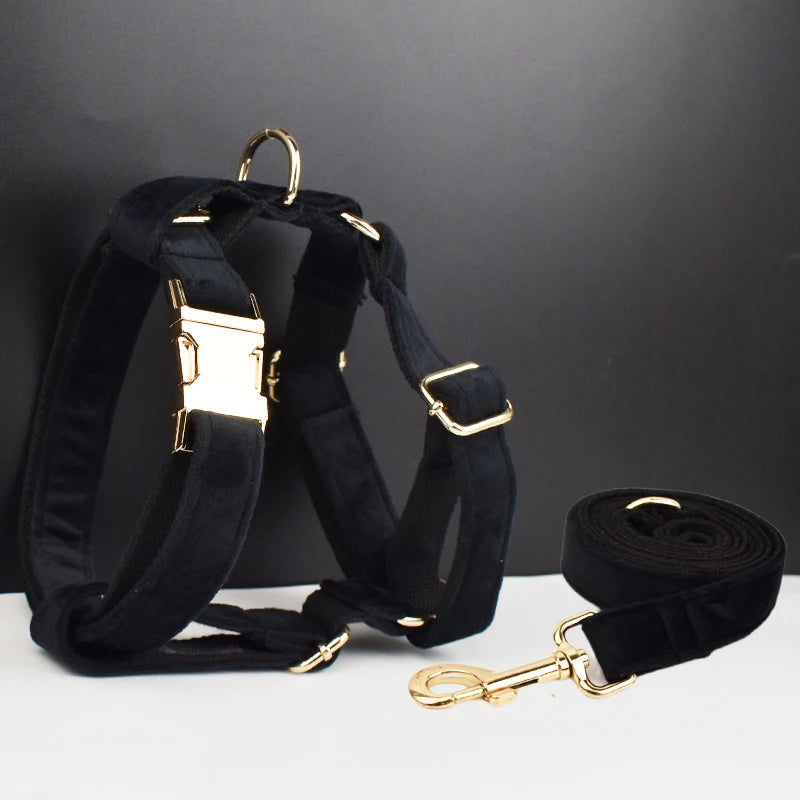Gorgeous Unbreakable Dog Harness & Leash Set with Engraving