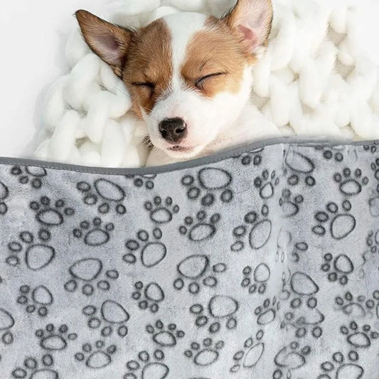 CloudComfort Paw-Printed Ultra-Soft Pet Blanket – Fluffy Coral Fleece Warming Mat
