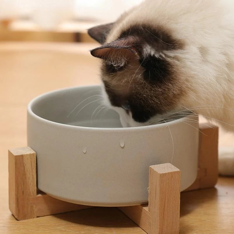 Ceramic Pet Bowl Cat Dogs Feeding Matted Elevated Dog Bowl Double Bowls Pet Food Water Feeder Wholesale Pet Manufacturer