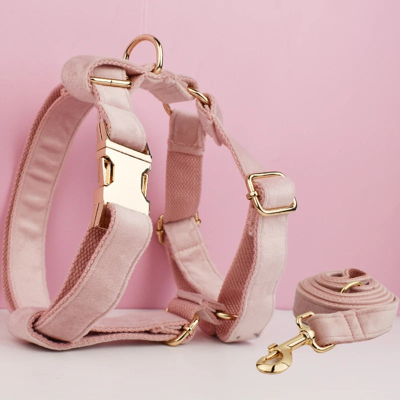 Gorgeous Unbreakable Dog Harness & Leash Set with Engraving
